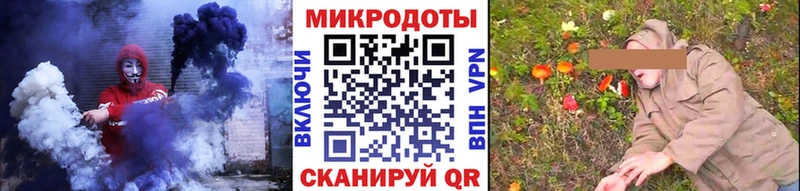 Псилоцибиновые грибы Psilocybine cubensis  Юрьев-Польский 